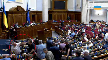 WATCH fistfight break out in Ukrainian parliament