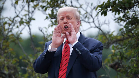 Trump considers territory swap between Russia and Ukraine