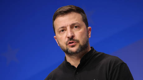 FILE PHOTO: Vladimir Zelensky