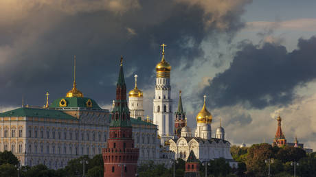 Kremlin dismisses NYT ‘hoax’
