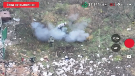 Pig saves two Russian soldiers from stepping on mine – media (VIDEO)