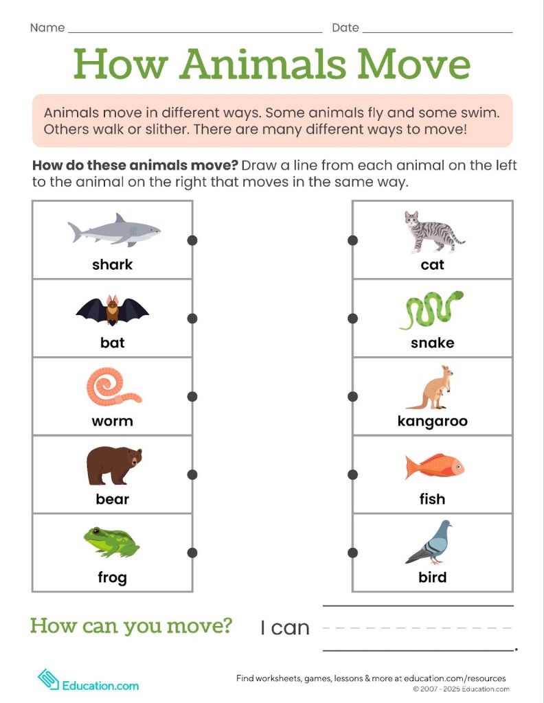What’s new in science: Our latest worksheets for grades PreK-8