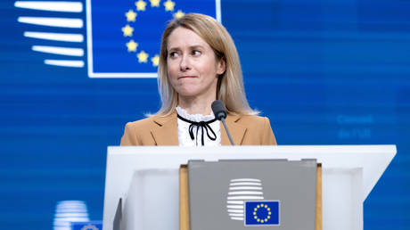 Kaja Kallas, High Representative for Foreign Affairs and Security Policy and Vice-President of the European Commission.