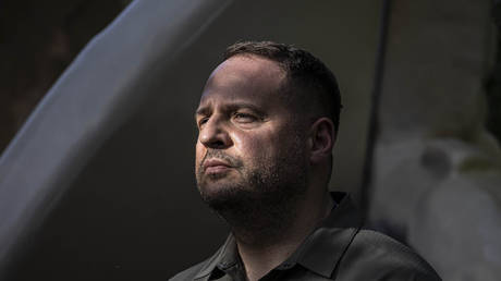 Zelensky’s ex-spokeswoman admits fearing for her life because of Yermak