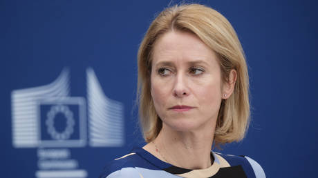 The EU Commission's vice-president and High Representative for Foreign Affairs and Security Policy, Kaja Kallas.