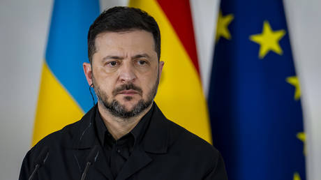 Zelensky’s election call a ploy – Putin aide