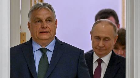 FILE PHOTO: Russian President Vladimir Putin and Hungarian Prime Minister Viktor Orban ahead of a joint press conference in the Kremlin, Moscow. July 5, 2024.