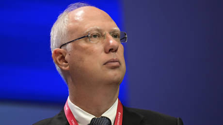 Energy crisis will last for months – Kremlin envoy