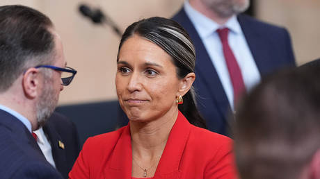 US Director of National Intelligence Tulsi Gabbard.