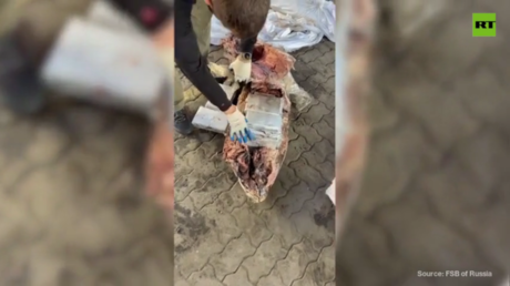 Russia seizes mammoth cocaine haul hidden in frozen fish – FSB (VIDEO)