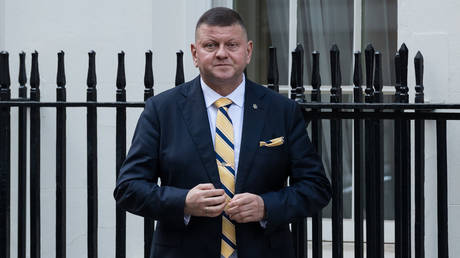 Ukraine ‘will never join’ NATO – Zelensky’s top rival