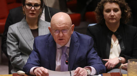 West using Ukraine as proxy to back terrorists in Africa – Russian UN envoy (VIDEO)